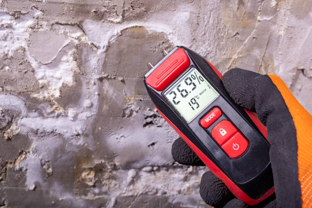 Best Attic Mold Remediation in Hauppauge, NY