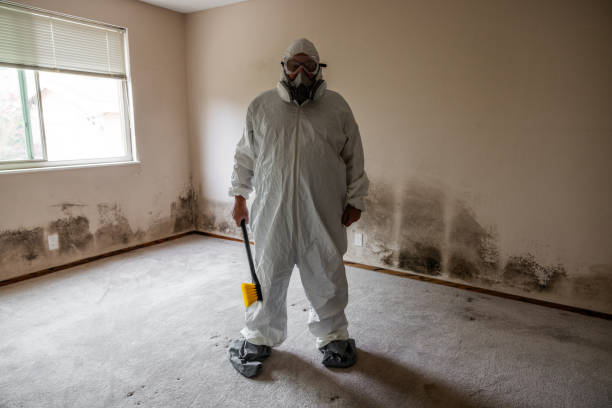 Best Industrial Mold Remediation in Hauppauge, NY